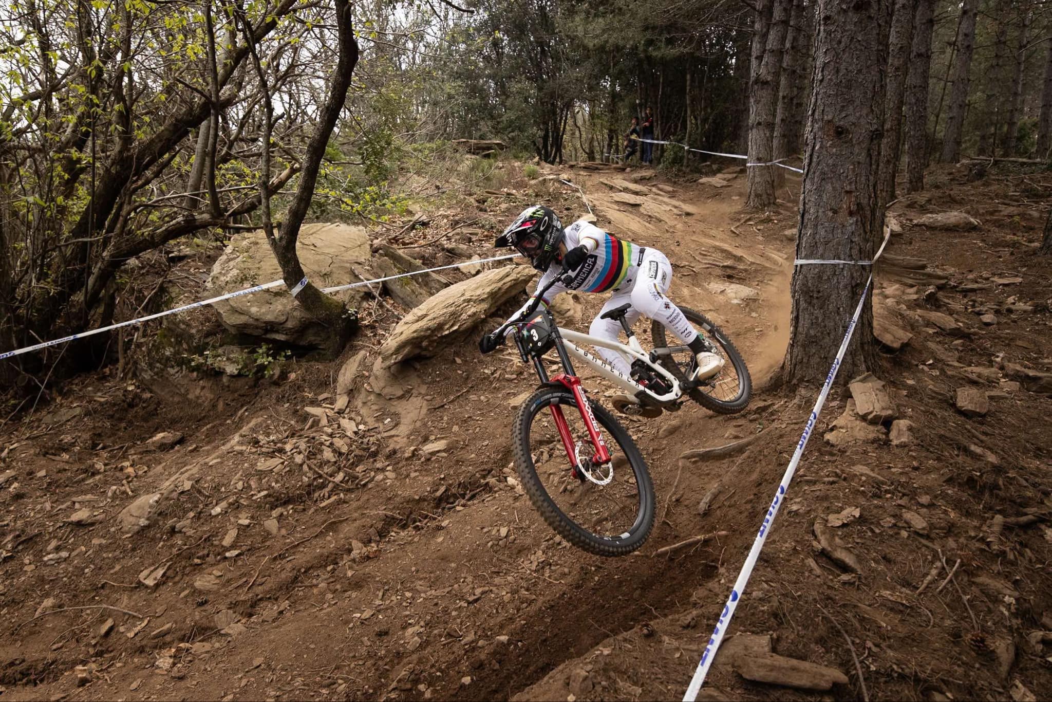 Loris Vergier
